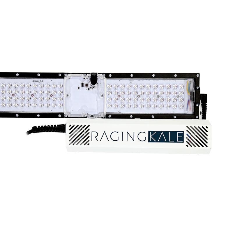 Scynce LED Raging Kale