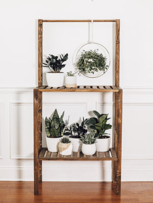 DIY Plant Shelf