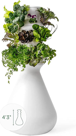 The TikTok-Famous Lettuce Grow Tower Costs $700, But These Alternatives Start at Just $140