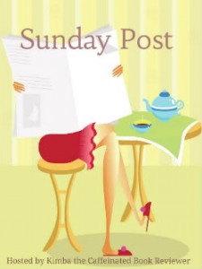 Sunday Post: Book Pre-order Campaigns & Giveaways Galore – 11/22/20